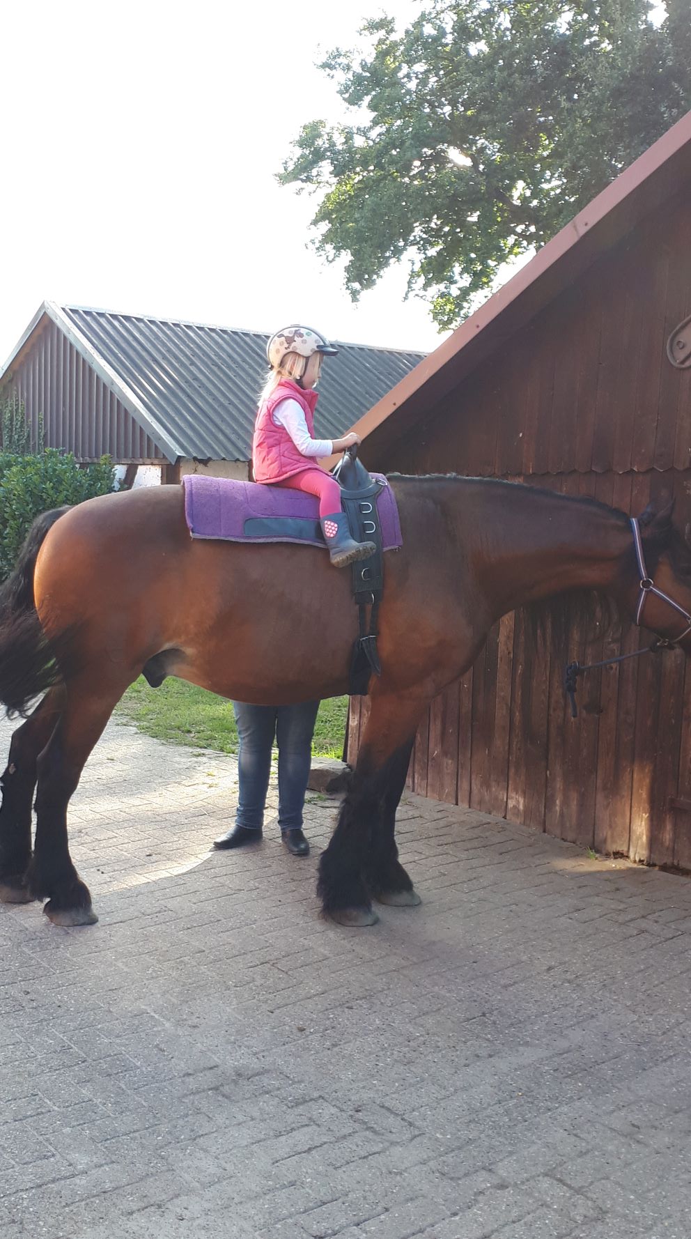 Anike auf Lukas